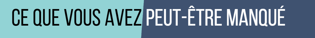 ELECTIONS, LE BILAN DU SNB